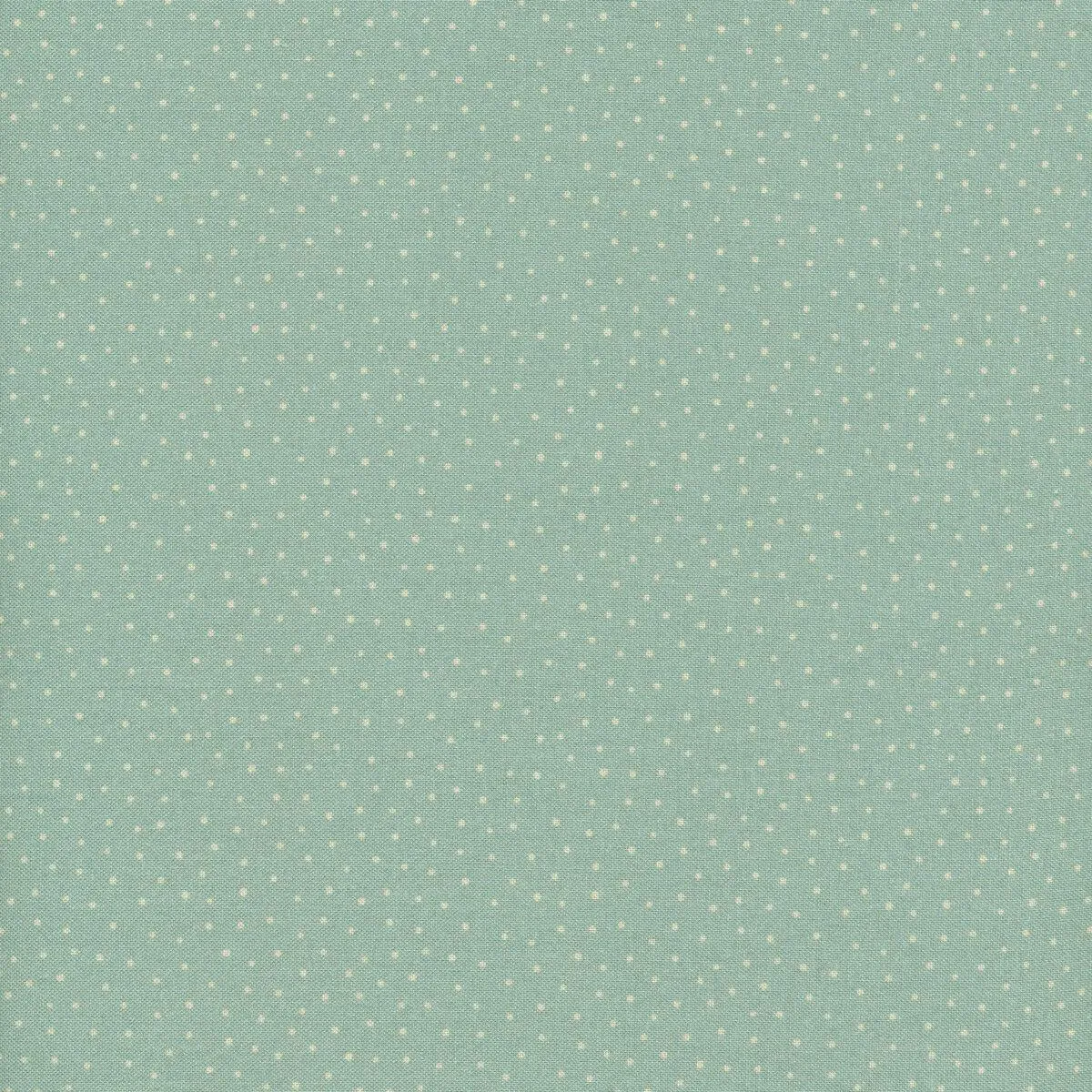 BIRDS OF A FEATHER AQUA