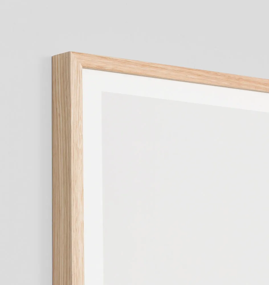 DESERT CAMEL · FRAMED PRINT