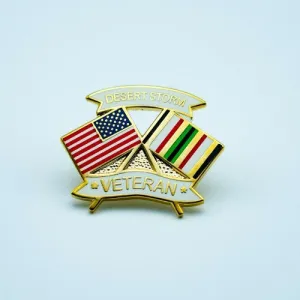 Desert Storm Pin
