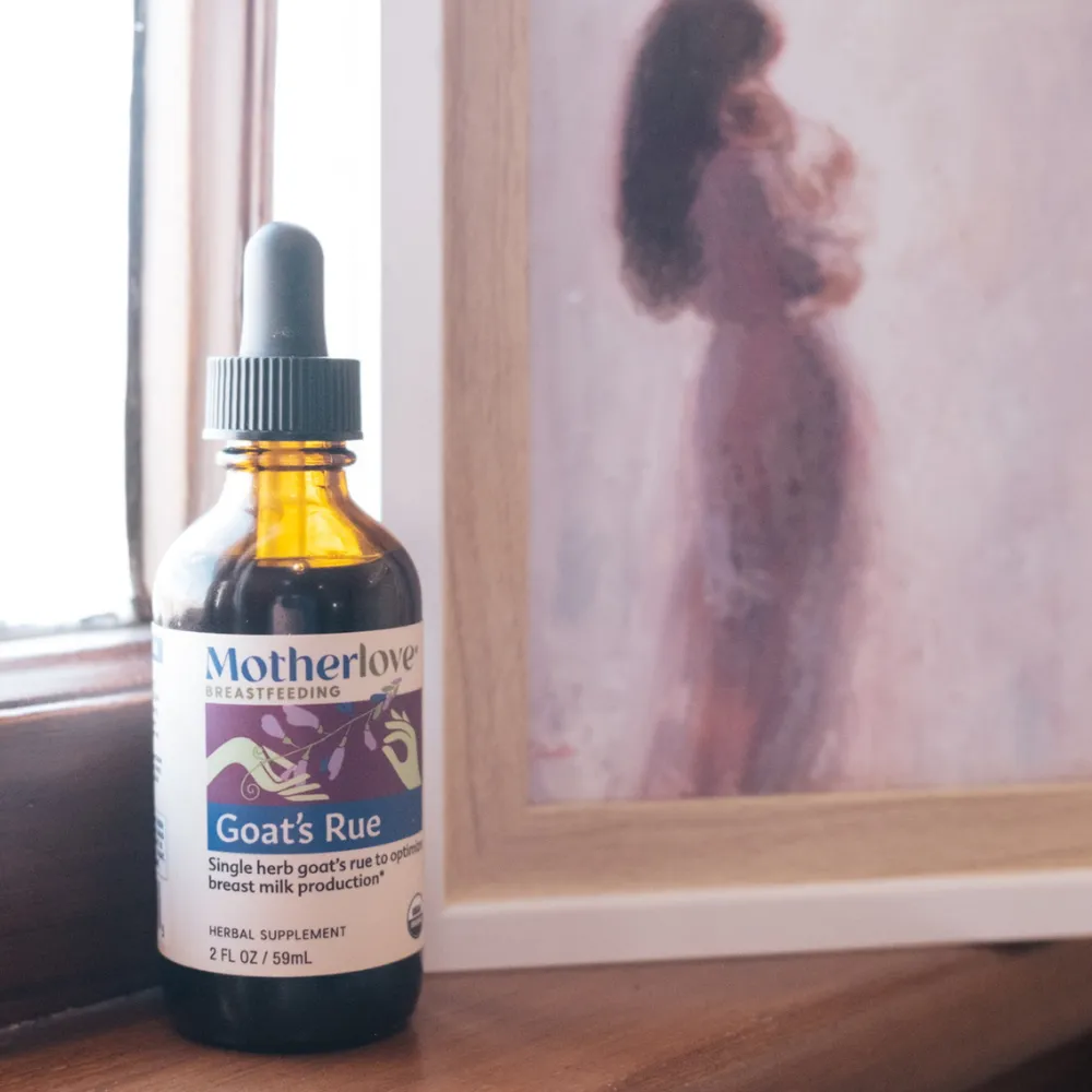 Goat's Rue - Traditional Tincture