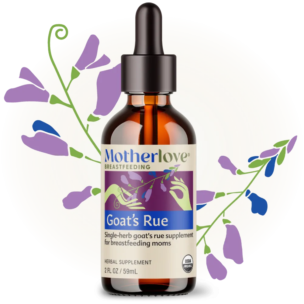 Goat's Rue - Traditional Tincture