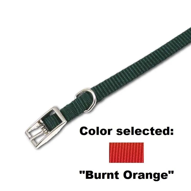 Traditional Cat Collar