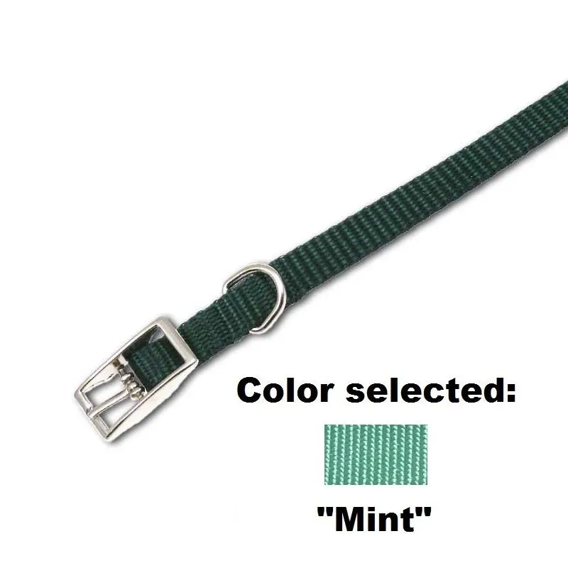 Traditional Cat Collar